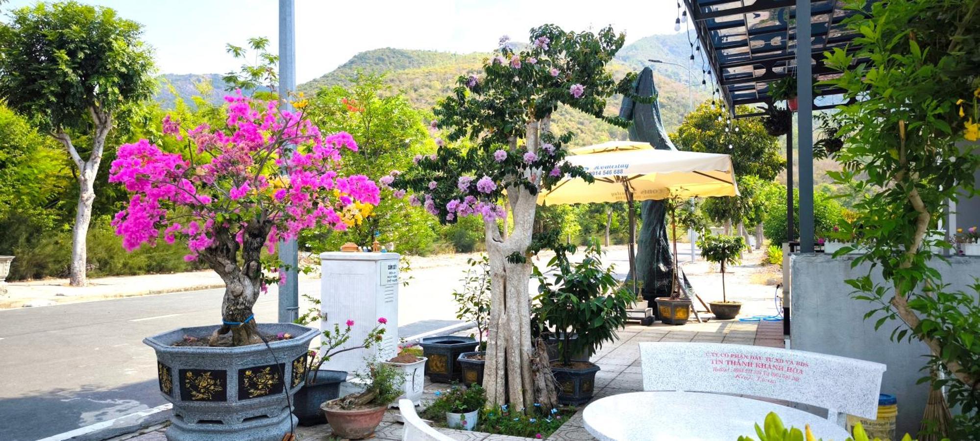 Cobi'S Home Cam Lam Exterior photo